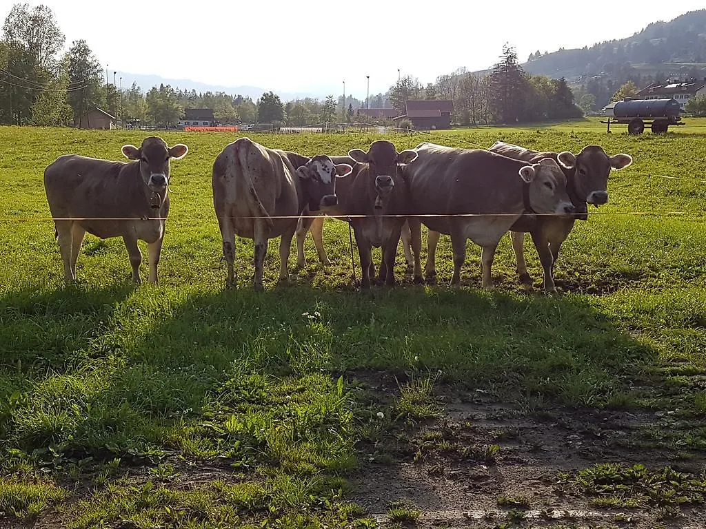 Farm stay Heulandhof Villa Bad Hindelang Germany